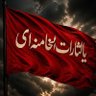 ماهرخ( نیمچه شیعه)🎒 的头像