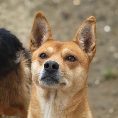 Marito.G 💛 PATAGÓNICO JOCOSO's profile picture