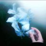 小明 gate芝麻 返佣85% profil fotoğrafı
