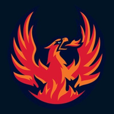 Firebirds's profile picture
