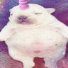 Profilbild von Marrem
