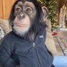 Profilbild von #