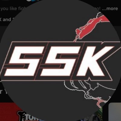SSK 🔜 CEO 2026's profile picture