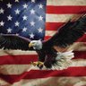 🇺🇸Robert🇺🇸👊⭐️'s profile picture