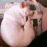 Profilbild von Lady Sophie