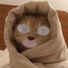 Profilbild von carolzinhe