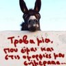 AKIS profil fotoğrafı
