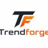@TrendForgeX 的头像