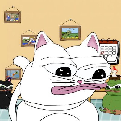 fachocat's profile picture