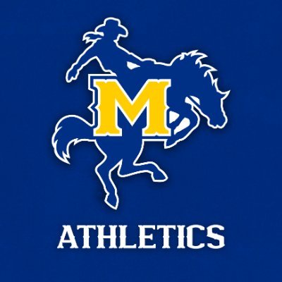 McNeeseSports's profile picture