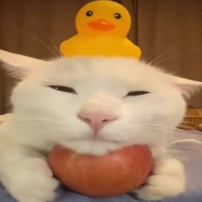 jayjaycals's profile picture