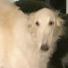 Kamwaao's profile picture
