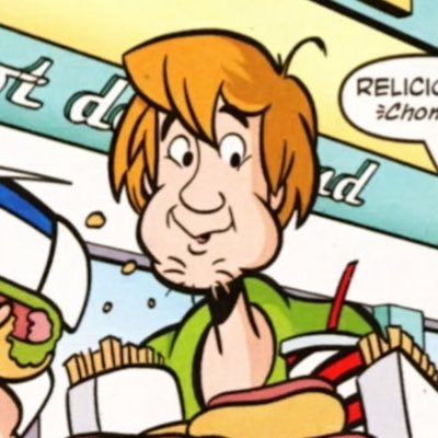 Ryan/Stan ☀️🔍 Shaggy's lamb ♡︎'s profile picture