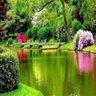 أبو أحمد profil fotoğrafı
