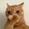 咦猫's profile picture