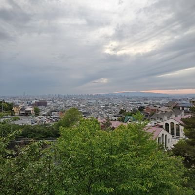 umeonigiri_10's profile picture