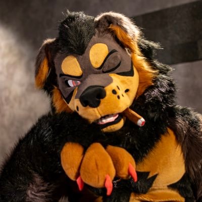 モリンジ(MORINJI)'s profile picture