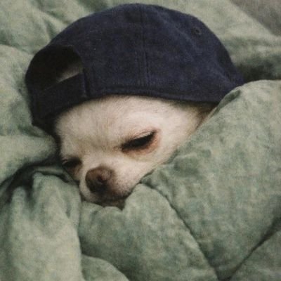 azevedocampos13's profile picture