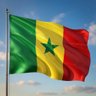 L’Homme de FASS-JOM🇸🇳's profile picture