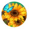 Lala profil fotoğrafı