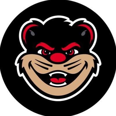 TheCincyBearcat's profile picture