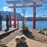 りかりんりん's profile picture