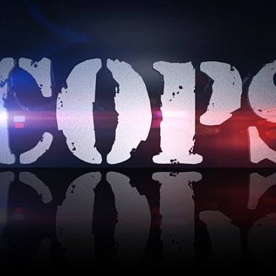 copsusablue's profile picture