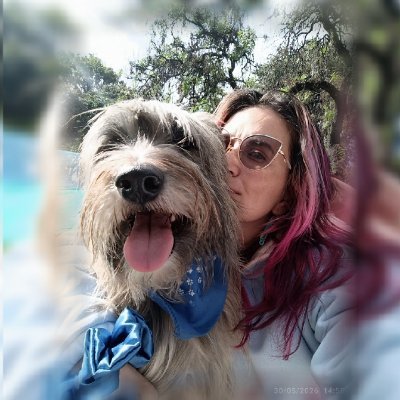 gelitoazul's profile picture