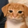 danton's profile picture