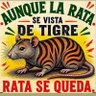 N R 🐉🌳🐺🇨🇴 🇵🇸's profile picture