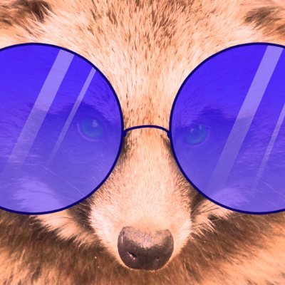 塔努努Tanunu's profile picture