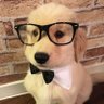 Profilbild von rigbymapache253