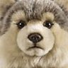 TimberGhost Wolf's profile picture