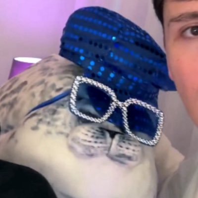 capyphil's profile picture