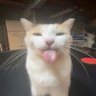 Profilbild von jkb
