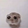 jhordy's profile picture