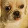 Profilbild von kkathypom54