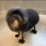 chloe's profile picture