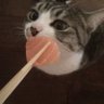 宅属性点满之薯角's profile picture