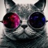 Zr_x37's profile picture