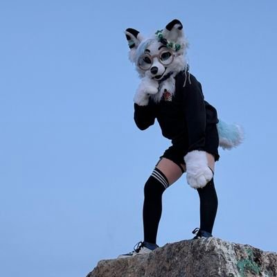BluenAsh84's profile picture