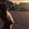 3badi profil fotoğrafı