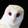 Profilbild von ouroborea