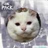 Profilbild von J🐈⬛ 🦌🐐⭐️⁰³³🍎🍒