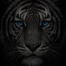 Profilbild von Staywicked