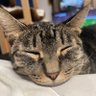 れお's profile picture