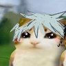 Profilbild von dai