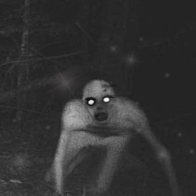 adaintyghoul's profile picture