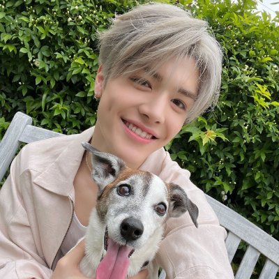 dani 🌟 semi ia's profile picture