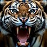 ★ JP ★ profil fotoğrafı